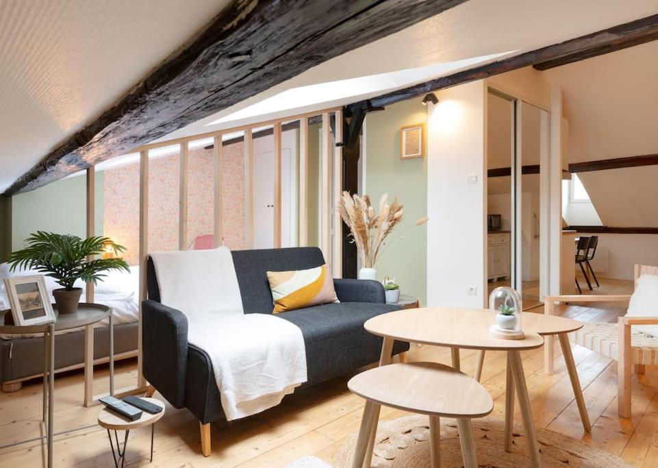 Апартаменты Le Cosy Du Pont Mouja Нанси Экстерьер фото